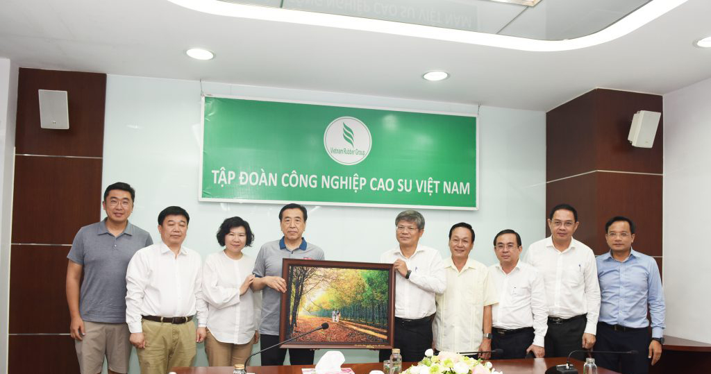 VRG và Sailun có nhiều cơ hội hợp tác
